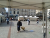 kermesse-avsfr-2014-125