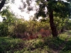 IMG-20210517-WA0061