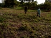 IMG-20210517-WA0063